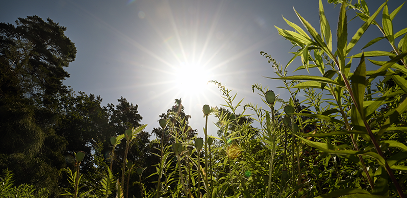 SMHI varnar för höga temperaturer