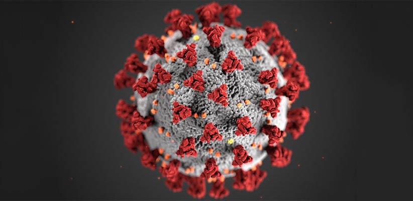Bild på coronavirus covid-19. Foto: Alissa Eckert, MS; Dan Higgins, MAMS