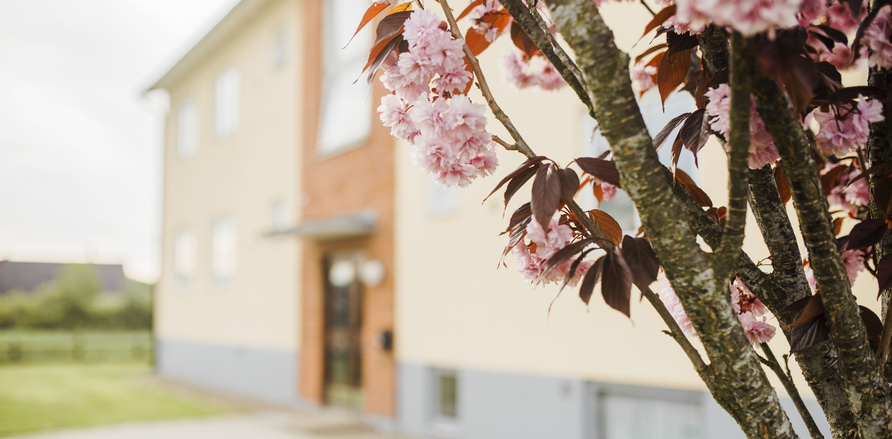 Linnavångsvägen 14-16 och 39