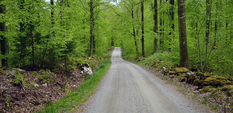 Allemansrätten