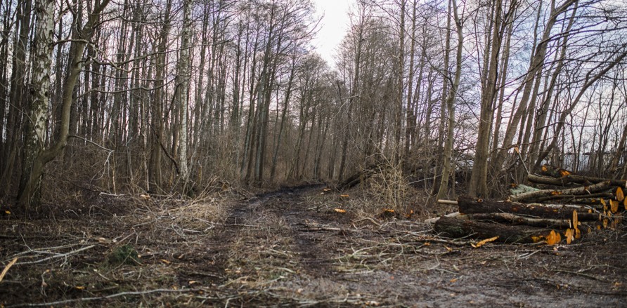 Sölvesborgsledningen