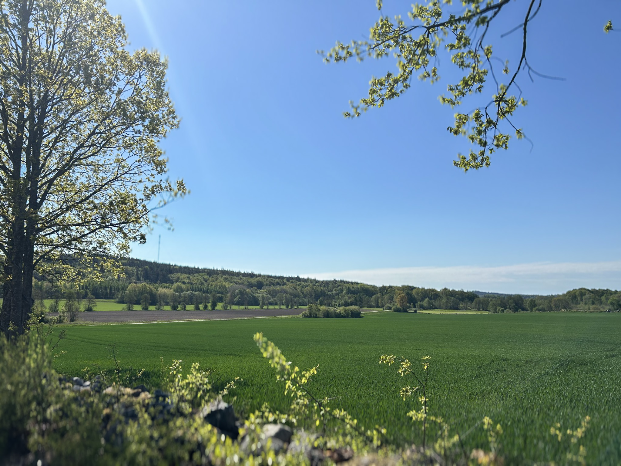 Längre svarstider och prioritering av akuta ärende