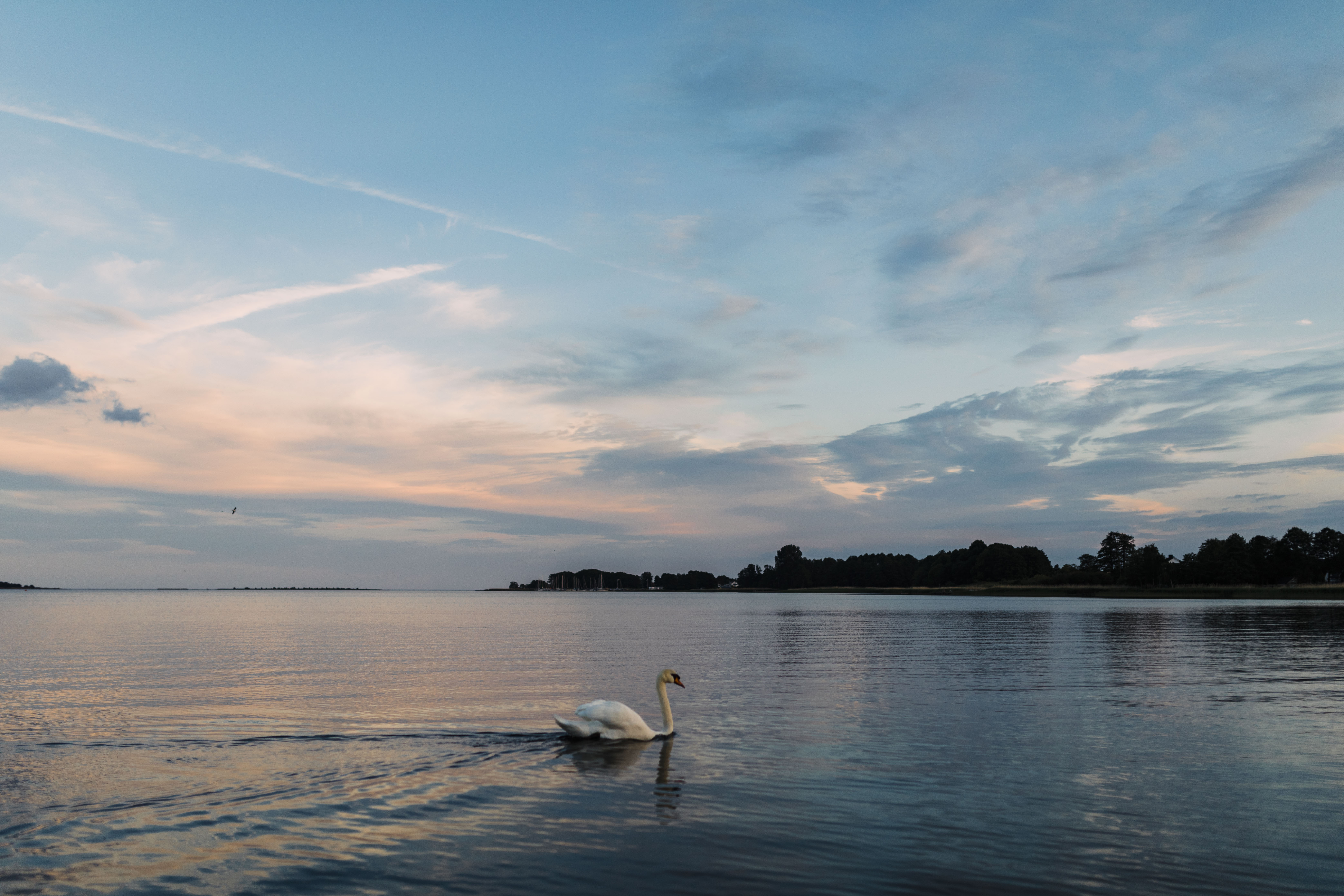 En-brygga-solnedgang-over-vatten