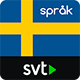 SVT språkplay.png