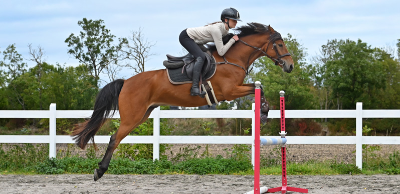 Vilja Arvidsson Vilja hoppar med sin häst över ett hinder.